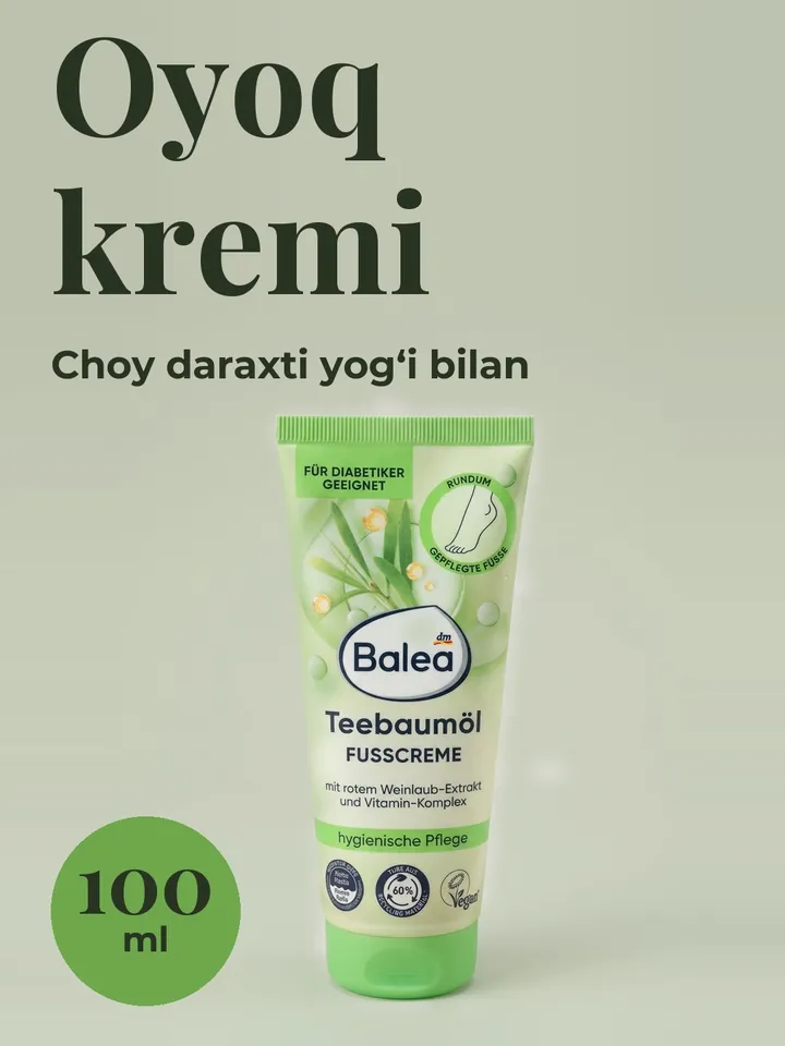 «Katta so‘z» joylashuvi